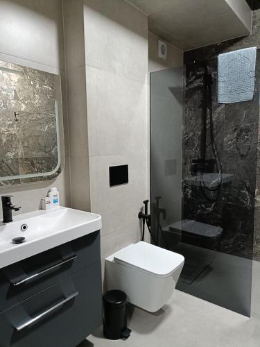 a bathroom with a toilet and a sink and a shower at Casa Daria in Durău