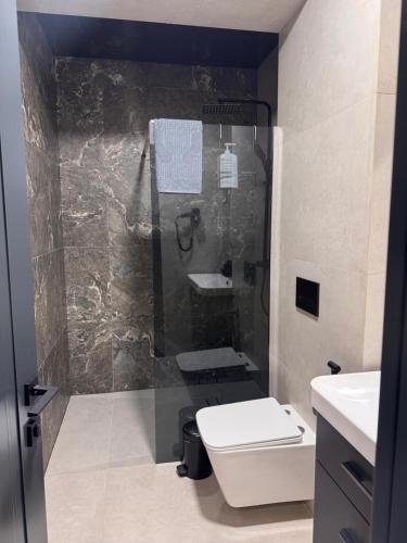 un bagno con doccia, wc e lavandino di Casa Daria a Durau