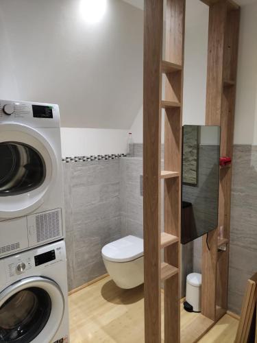 a bathroom with a toilet and a washer and dryer at Logis vouté les hirondelles in Rogna