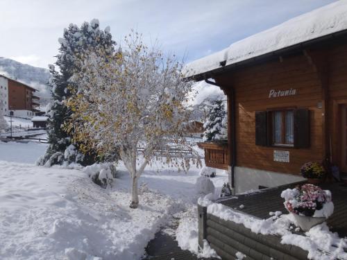 Chalet Petunia v zimě