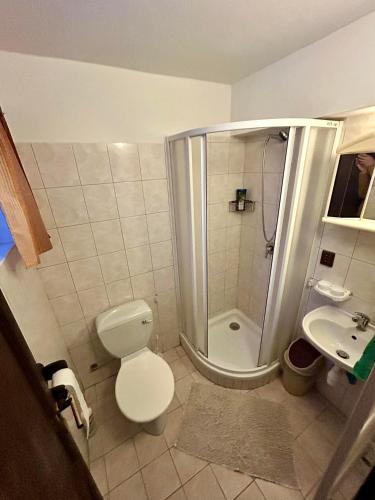 a bathroom with a shower and a toilet and a sink at Privát Podstata in Benecko