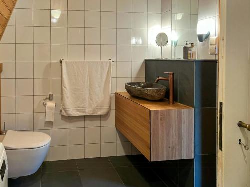 um banheiro com pia e vaso sanitário em Historic Cabin By Lærdal River em Tønjum