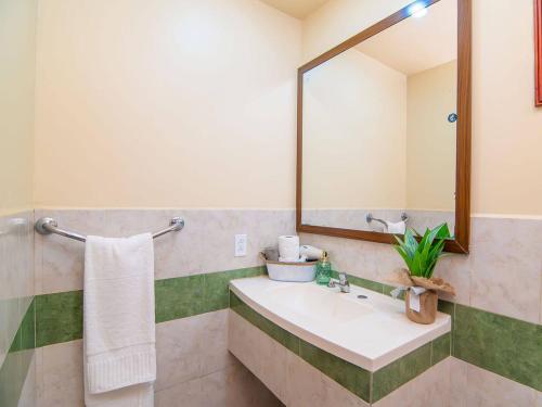 um banheiro com pia e espelho em Bonsai Rentals - West Bay Private Rooms em West Bay