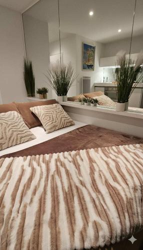 Voodi või voodid majutusasutuse La petite Croisière - Vue Mer toas