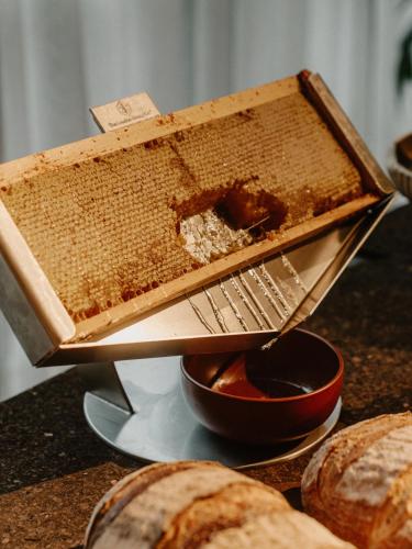 Jídlo v hotelu nebo okolí