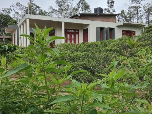 Κήπος έξω από το Yemi Bungalow Ella