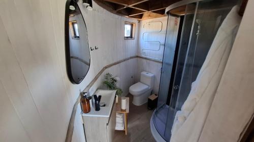 Koupelna v ubytování Domo en la Reserva El Yali, con jacuzzi privado