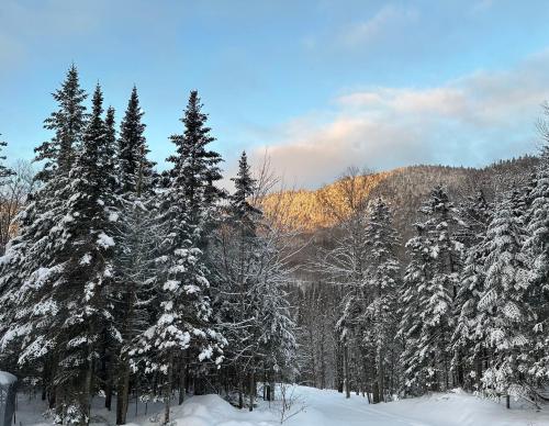 Φυσικό τοπίο κοντά σε αυτό το σαλέ