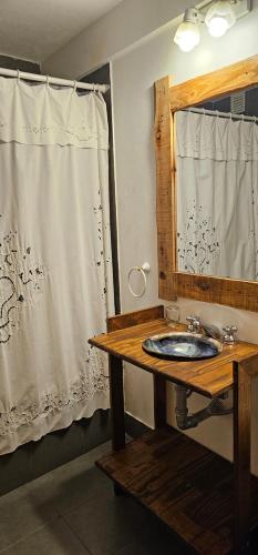 um banheiro com pia e cortina de chuveiro em South B&B El Calafate em El Calafate