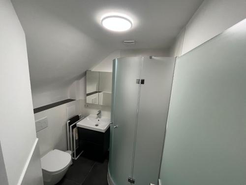 Lumio Apartment 1 في كارلسروه: حمام مع دش ومرحاض ومغسلة