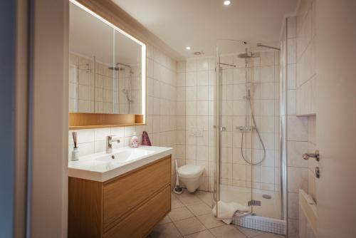 a bathroom with a sink and a shower at Im Prummehuck in Raeren