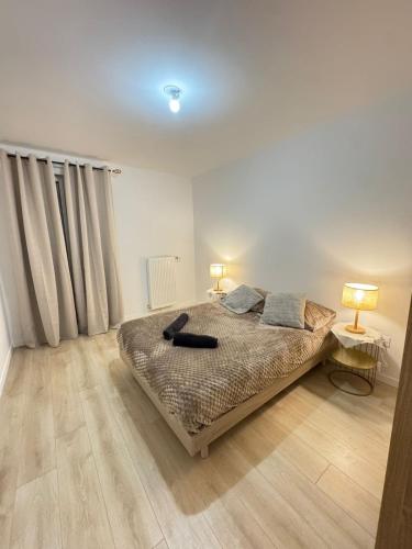 Cozy F2 Apartment La Queue en Brie في La Queue-en-Brie: غرفة نوم بسرير كبير وعليها مصباحين