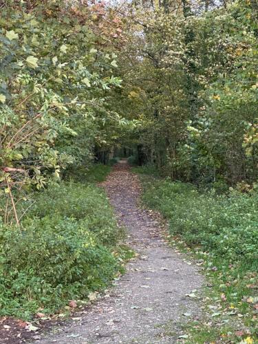 Appartement en bordure de forêt
