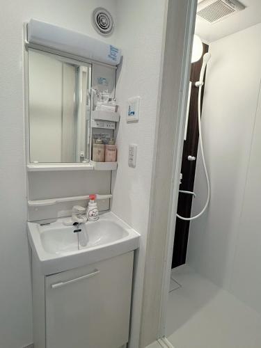 a bathroom with a sink and a mirror at Niseko Yotei Vista in Kutchan