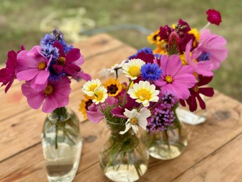 Fotografie z fotogalerie ubytování Monte Meu v destinaci Odemira