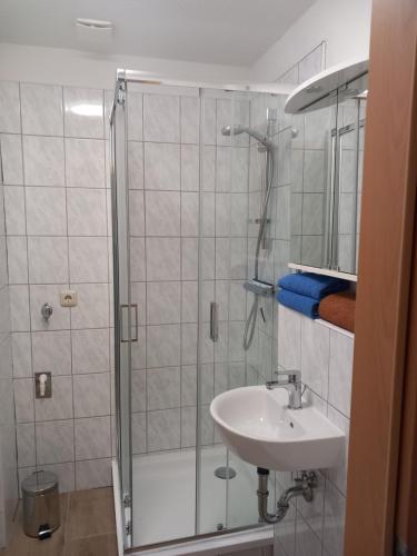 een badkamer met een douche en een wastafel bij Ferienwohnungen Albinshof in Krien