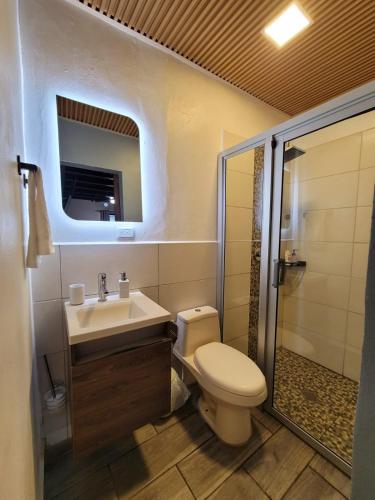 a bathroom with a toilet and a sink and a shower at Casco histórico- Estación 1501 Duplex in Juticalpa