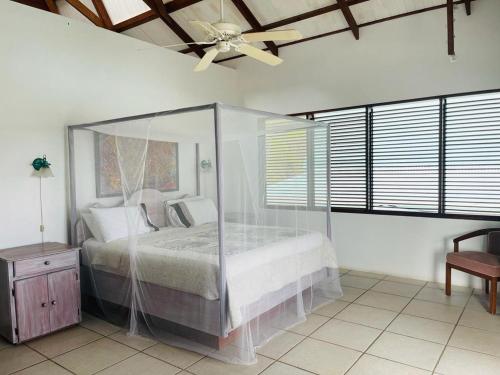 Port ElizabethにあるGingerlilly Villa - with stunning harbour viewsのベッドと天井扇風機のある寝室