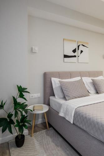 Soul Rentals 2BR Cozy Apt, New Block & Calm Gem