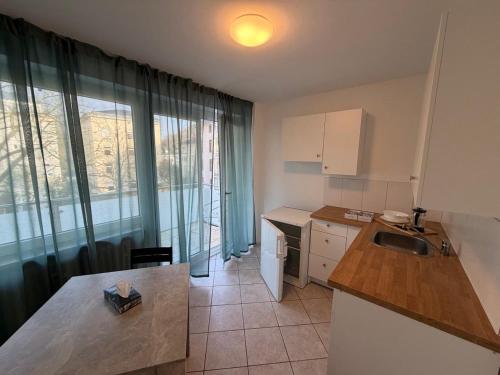 eine Küche mit Spüle und Arbeitsplatte in der Unterkunft MonoApartment in Frankfurt am Main