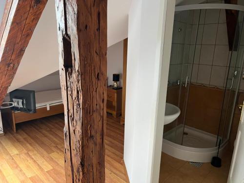 Koupelna v ubytování Conacul Maria