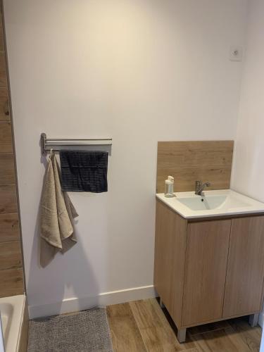 BlanzyAppartement F2 de 55 m2的一间带水槽和毛巾架的浴室