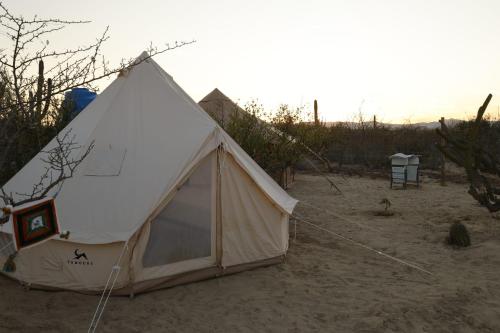 Una tienda de campaña blanca situada en medio de un campo en Eco Glamping Biosfera - Bahia Turquesa, en La Ventana