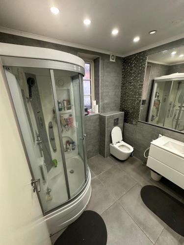 a bathroom with a shower and a toilet and a sink at Stort luksus Villa in Søborg