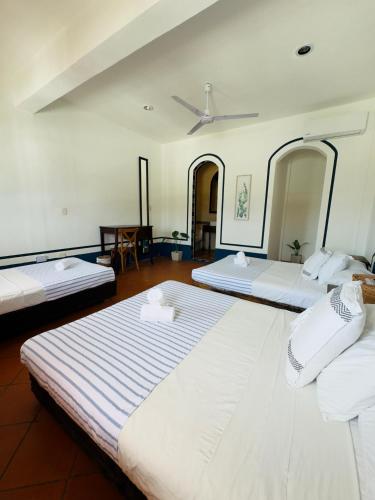 two large beds in a room with at Hotel Tulum Centro, Party Hotel in Tulum