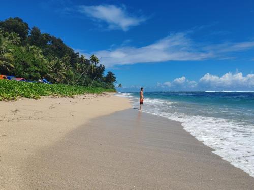 Φυσικό τοπίο κοντά σε αυτό το bed & breakfast