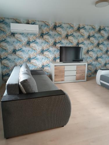 佩列亚斯拉夫-赫梅利尼茨基Будинок з сауною та чаном的客厅里有一张沙发和一台电视