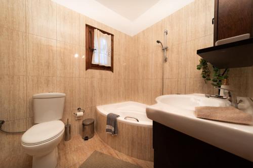 a bathroom with a toilet and a sink at Villa Eleni Meskla in Mesklá