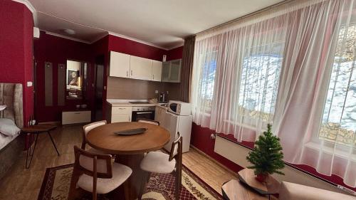 Η κουζίνα ή μικρή κουζίνα στο Top of the Mountain Гранд Манастира частни Апартаменти