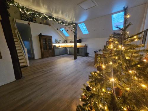 un albero di Natale nel mezzo di una stanza di Bed & Breakfast Twekkelo a Enschede