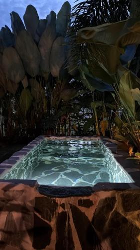a swimming pool in the middle of a garden at wellgaya ecovillas in Villa Flor