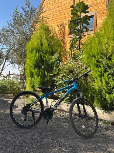 Jízda na kole v ubytování Dana luxury huts nebo okolí