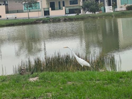 Θέα στο ποτάμι κοντά σε αυτή η παραθεριστική κατοικία