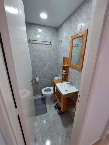a bathroom with a toilet and a sink at Sol y Luna Hospedajes 3 in San Bernardo