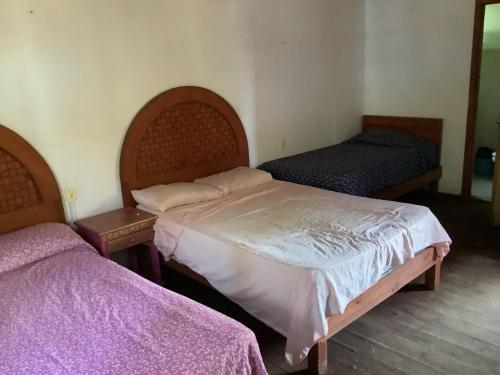 two beds in a room with purple sheets at Katary Gro Ecohotel in Marquelia