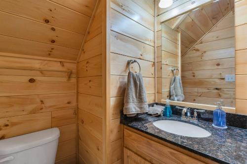 Oak HillCozy, Luxurious Fox Den in the Shenandoah Valley的带水槽和马桶的浴室