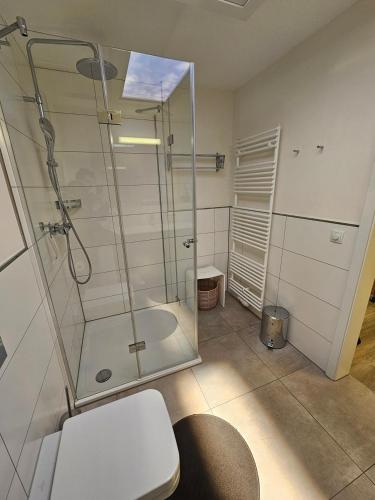 a bathroom with a glass shower and a toilet at Meeresblick Appartement 33 H3 WE 33 in Hohwacht