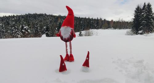 Ein Vogel mit Weihnachtsmannmütze steht im Schnee in der Unterkunft Górska Osada Śleboda in Zasadne