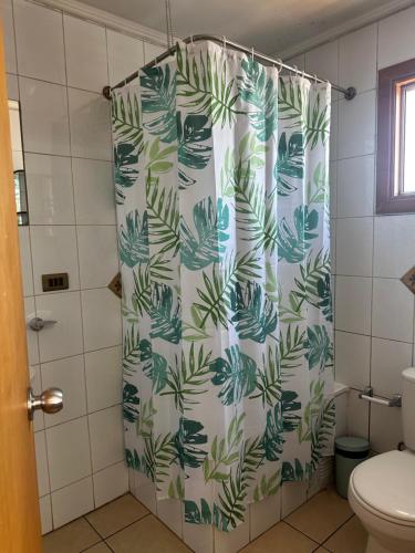 Koupelna v ubytování Hostal Verde Bendito Depto 2 Temuco