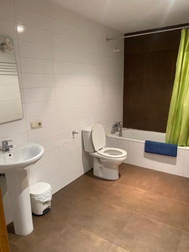 a bathroom with a toilet and a sink at Refugi La Basseta in Vall de Castellbò