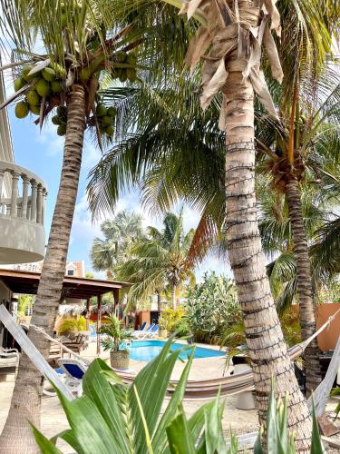 Oasis guesthouse, Boutique Style Hotel