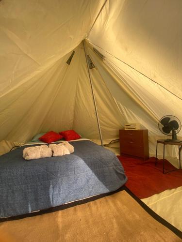 Giường trong phòng chung tại Glamping, Piscina, Jacuzzi y Estero - Más Líderes Experiencias