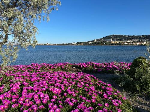 Sète - Coeur de ville et proximité canaux , Appartement plein soleil, Vue St Clair