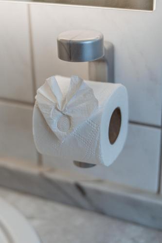 a toilet paper dispenser with a roll of toilet paper at Hotel Seepferdchen Zimmer 6 Eckernförde Self-Check-In in Eckernförde