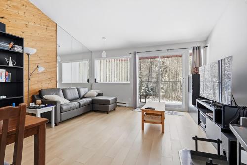 a living room with a couch and a tv at The refuge of the slopes, ski in, ski out in Stoneham
