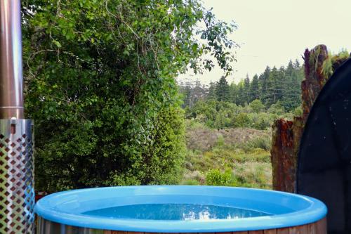 Tongariro Cottage - Hot Tub - Bring Your Dog! في Raurimu: حوض استحمام ساخن أزرق في ساحة بها شجرة